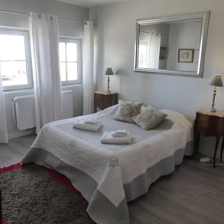 Manoir Plessis Bellevue & Bed & Breakfast Saumur