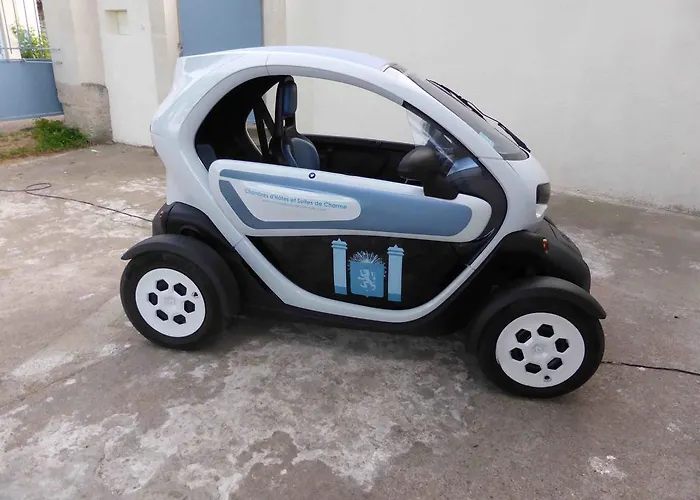 Bed & Breakfast Manoir Plessis Bellevue & Saumur