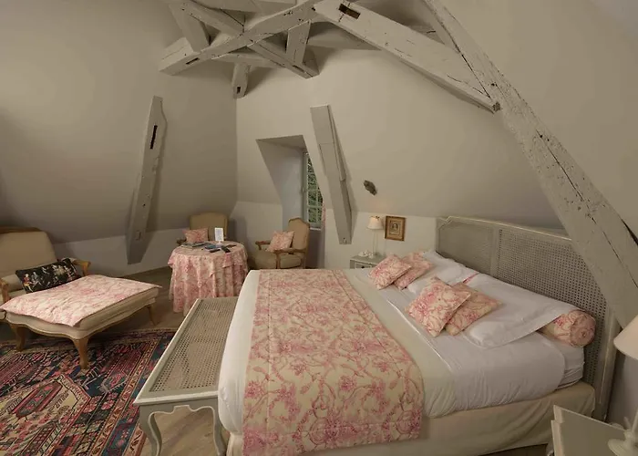 Manoir Plessis Bellevue & Bed & Breakfast Saumur